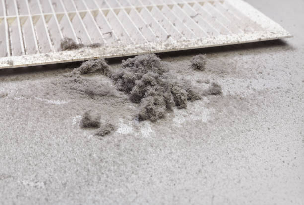Best Air Duct Sanitizing Services  in Wilson, PA