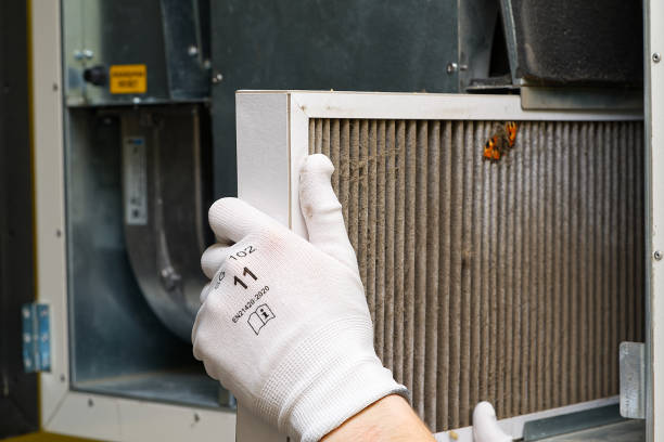 Best Ventilation Cleaning Services  in Wilson, PA